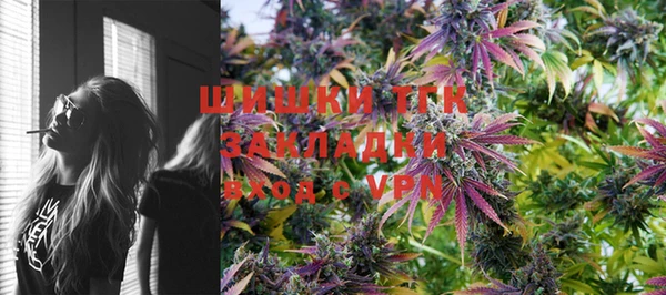тгк Горно-Алтайск