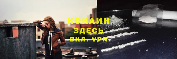 тгк Горно-Алтайск