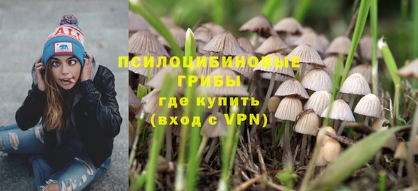 ГАЛЛЮЦИНОГЕННЫЕ ГРИБЫ Вяземский