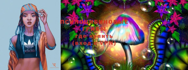 ешки Горнозаводск