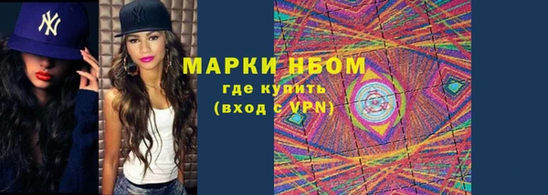 сатива Кукмор