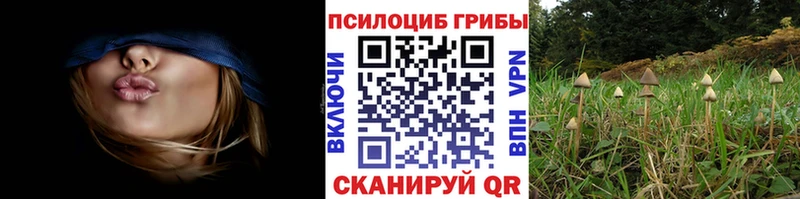 Галлюциногенные грибы MAGIC MUSHROOMS  что такое наркотик  Ельня 